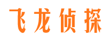 马村捉小三公司